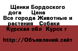 Щенки Бордоского дога.  › Цена ­ 30 000 - Все города Животные и растения » Собаки   . Курская обл.,Курск г.